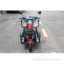 2023 دراجة ثلاثية العجلات الكهربائية العائلية الجديدة